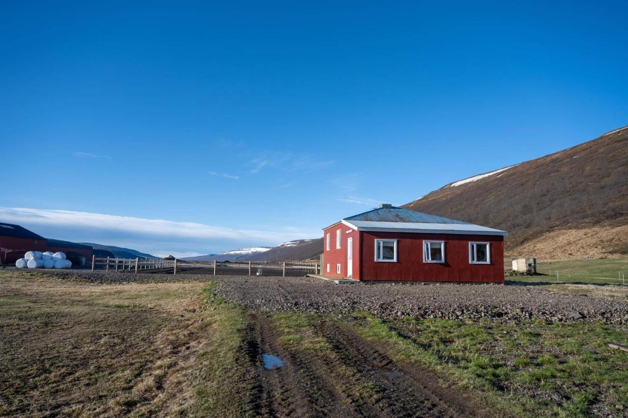Sandhaugar Guesthouse Thingeyjarsveit Экстерьер фото