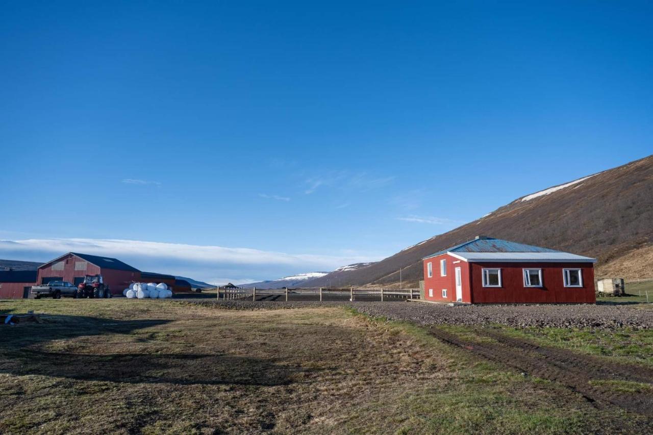Sandhaugar Guesthouse Thingeyjarsveit Экстерьер фото